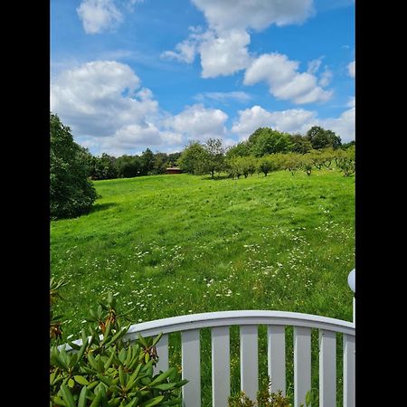Neu Ferienwohnung Odenwald Rimhorn Dış mekan fotoğraf